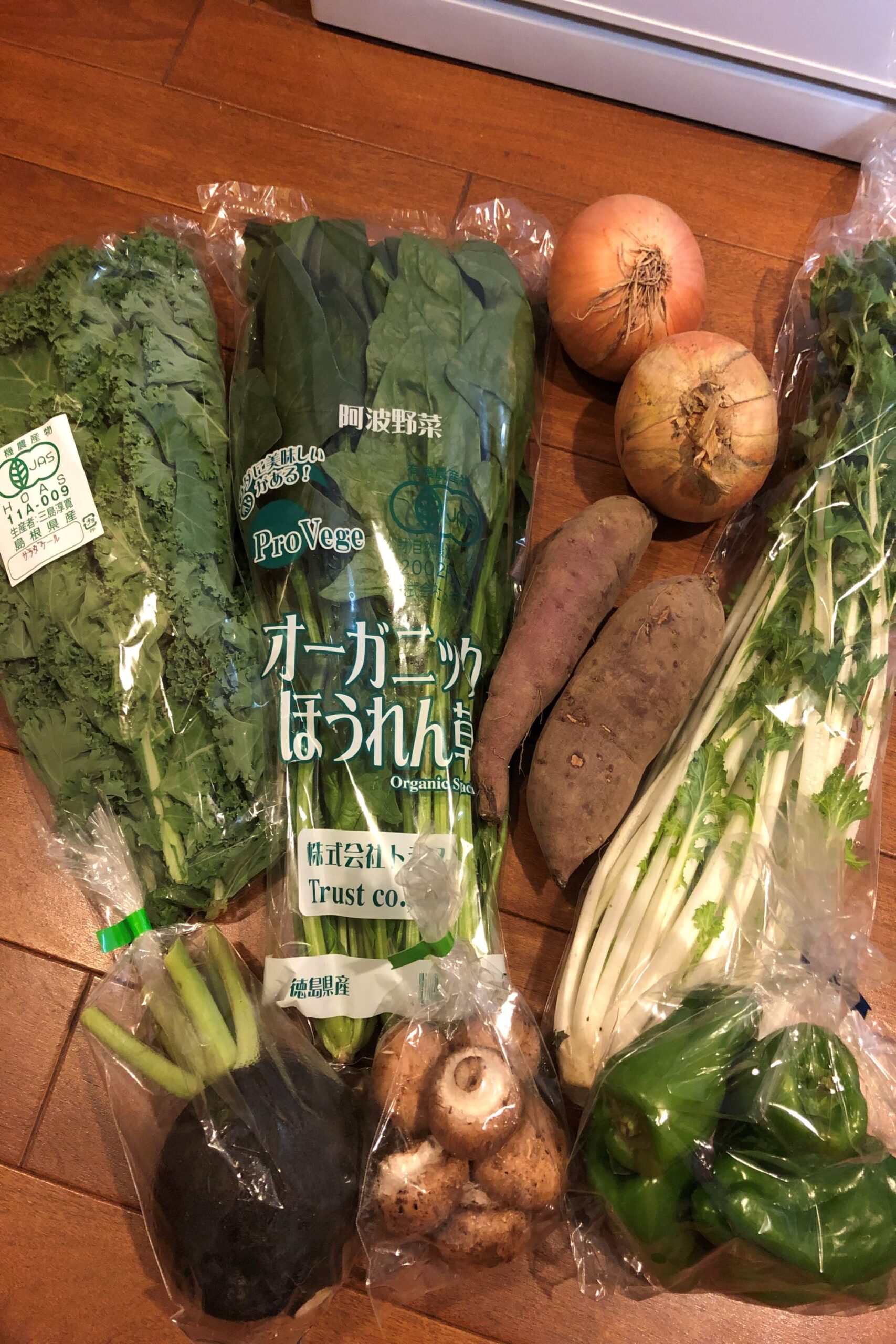 坂ノ途中 1回目野菜セットS