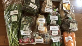 【ココノミ】クラフト野菜の評判・口コミと届いた野菜の良かったこと・残念だったこと 