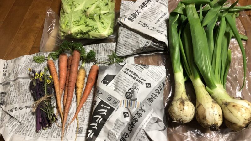 【食べチョク】新鮮野菜が生産者から直送！口コミと野菜のレビューからメリット・デメリットも紹介 
