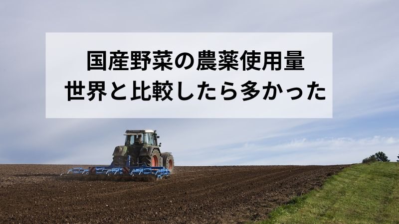 スーパーの国産野菜は安全か？日本の農薬使用量と残留農薬について調べてわかったこと 